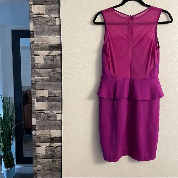 Greylin Melina Peplum Dress in Orchid - Picture 12 of 15